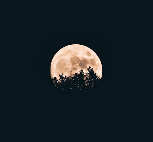 full moon obscured by trees